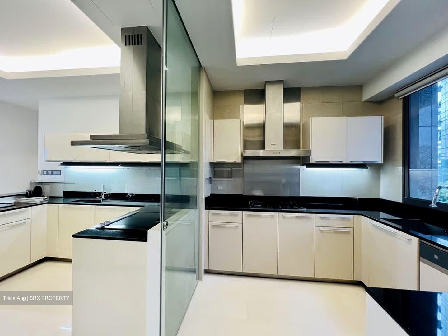 Parkview Eclat (D10), Condominium #580777591